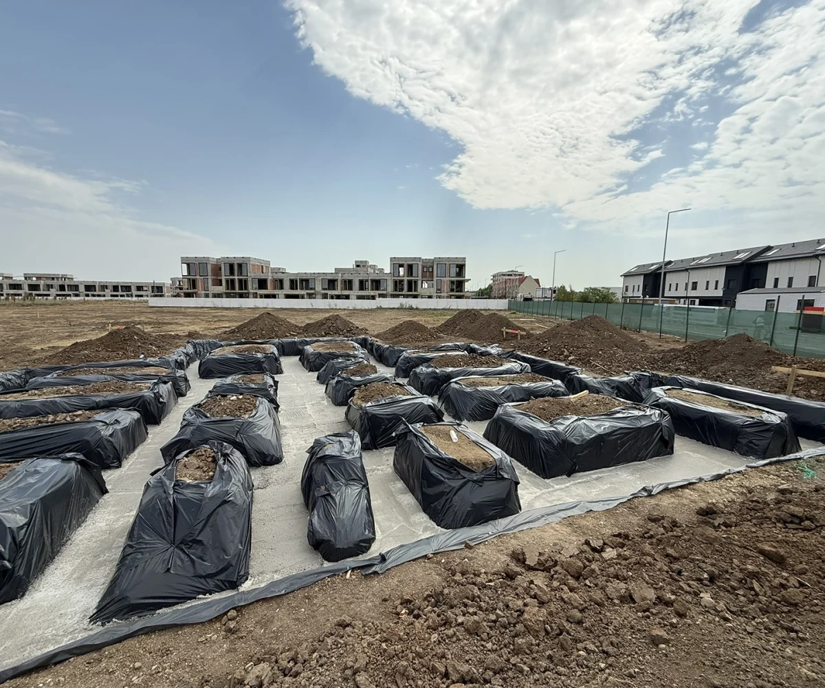SUNRISE HOMES_lucrari august_10